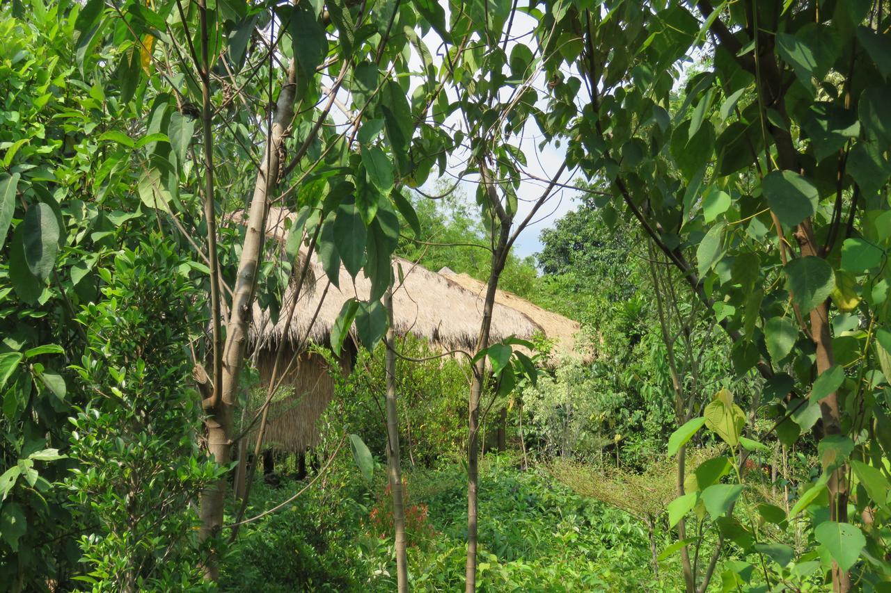 Rainbow Lodge Tatai Exterior photo